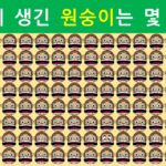 숨은그림찾기