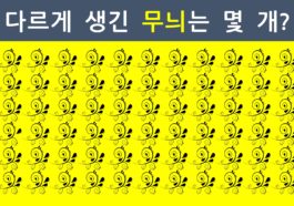 다른그림찾기