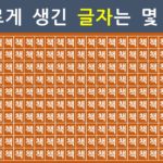 숨은그림찾기