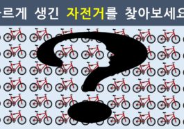숨은그림찾기