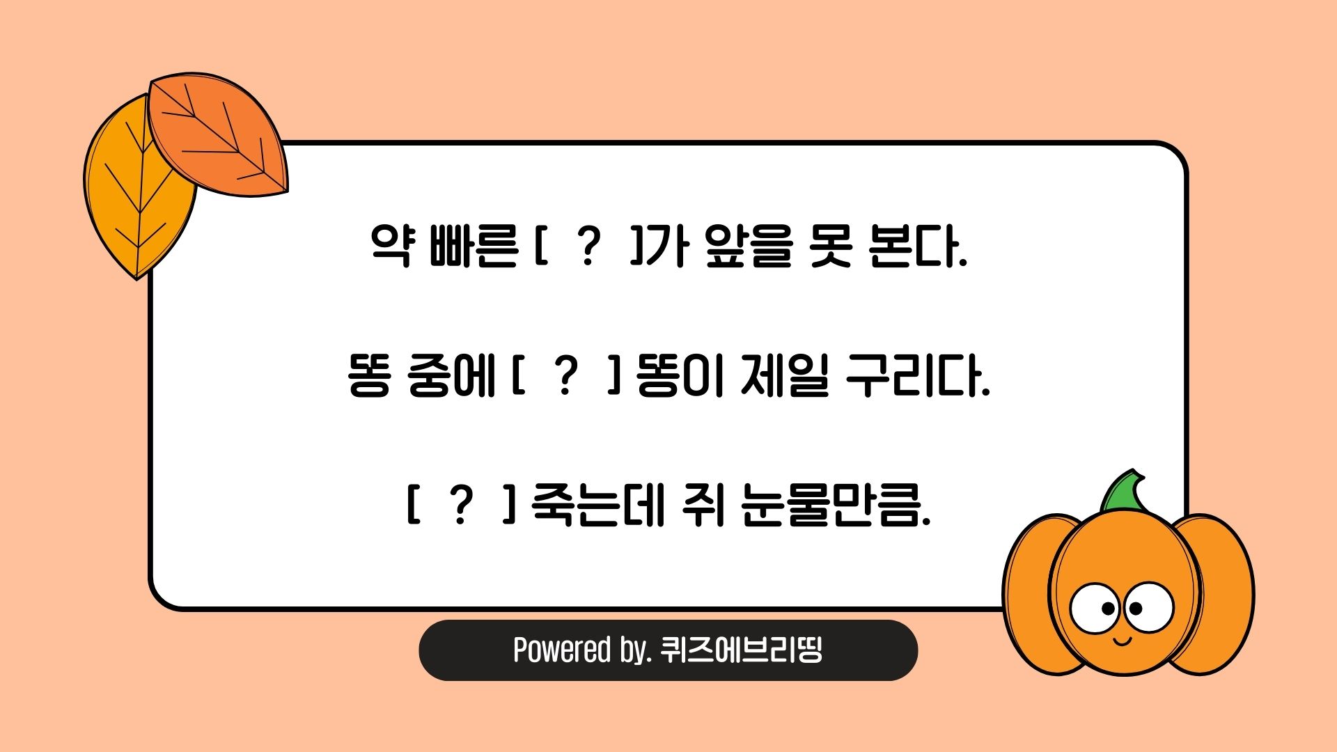 속담 퀴즈: 공통으로 들어갈 동물은?